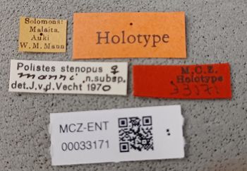 Media type: image;   Entomology 33171 Aspect: labels